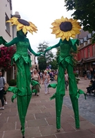 Dancing Sunflower - TopActs.nl - 3