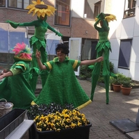 Dancing Sunflower - TopActs.nl - 5